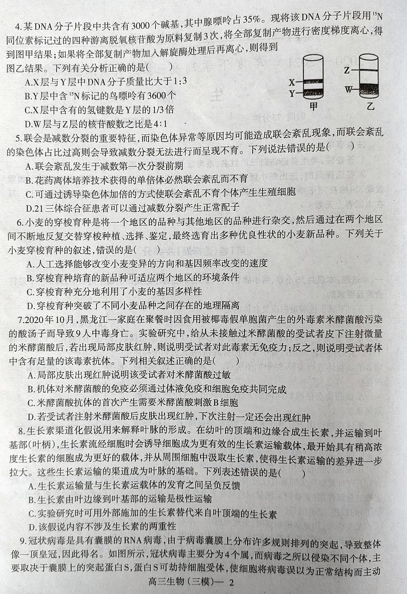 2021届辽宁省部分市高三第三次模拟生物试题（图片版）第2页