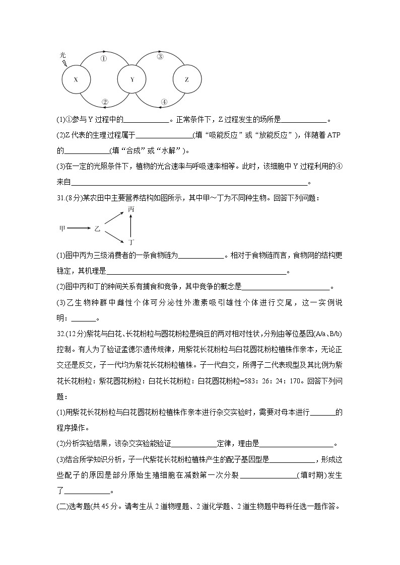 2021“超级全能生”高三全国卷地区3月联考试题（乙卷）生物含解析03