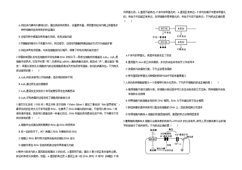 2021邯郸高三下学期5月第三次模拟考试生物试题含答案02