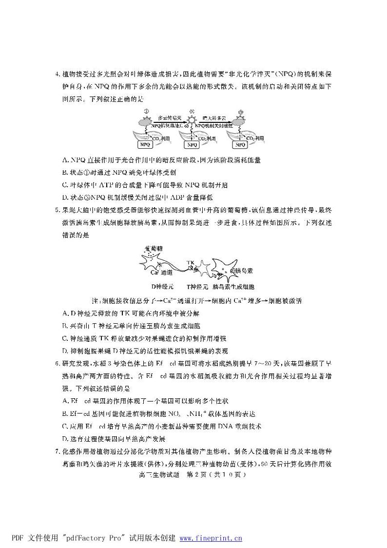 2021济宁高三下学期5月第二次模拟考试生物试题（PDF版）02
