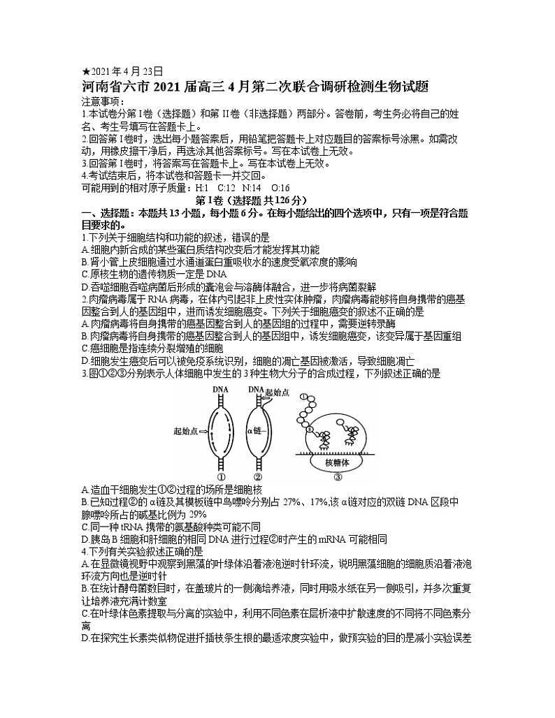 2021河南省六市高三4月第二次联合调研检测生物试题含答案第1页