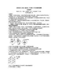 2021武汉武昌区高三下学期5月质量检测生物试题含答案