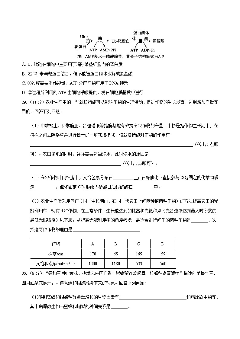 2021滁州定远县民族中学高三5月模拟检测理综生物试题含答案第3页