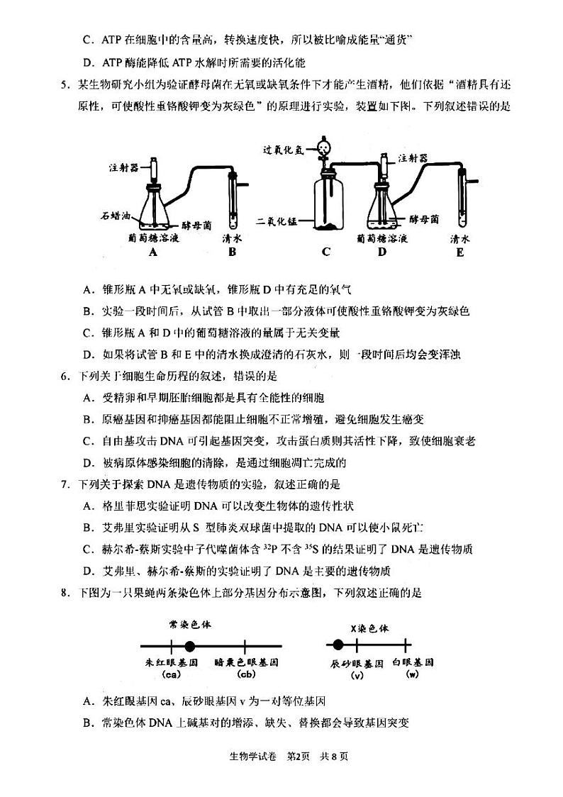 2021重庆市高三下学期4月第二次学业质量调研抽测生物试题PDF版含答案第2页