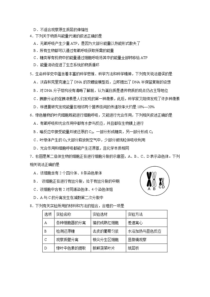 2021普宁普师高级中学高三下学期第二次模拟生物试题含答案第2页