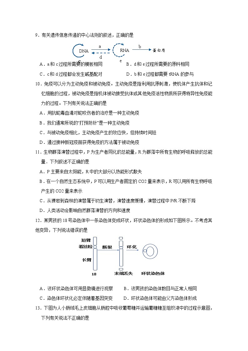 2021普宁普师高级中学高三下学期第二次模拟生物试题含答案第3页