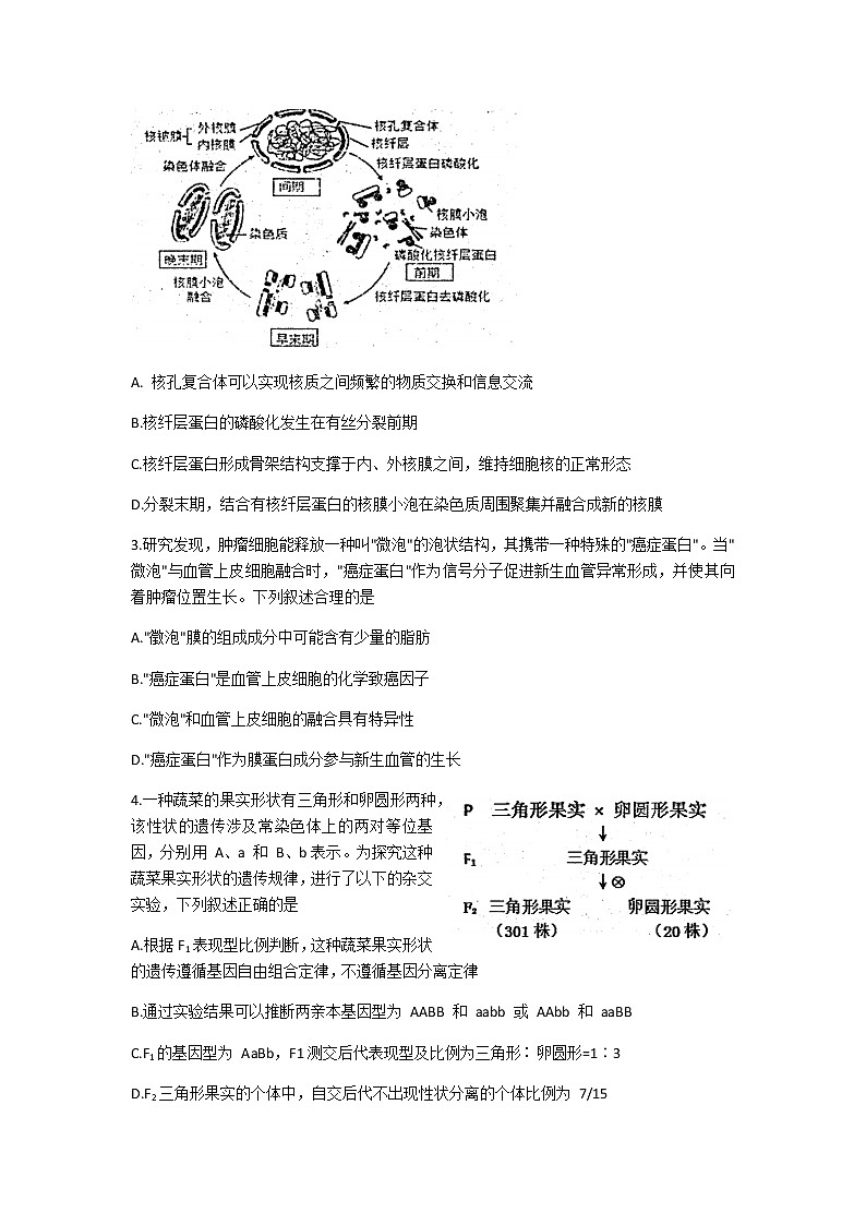 2021济南章丘区高三下学期4月二轮阶段性测试（二模）生物试题含答案第2页