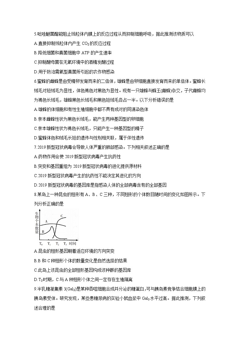 2021邵阳新邵县高三上学期新高考适应性考试生物含答案第2页