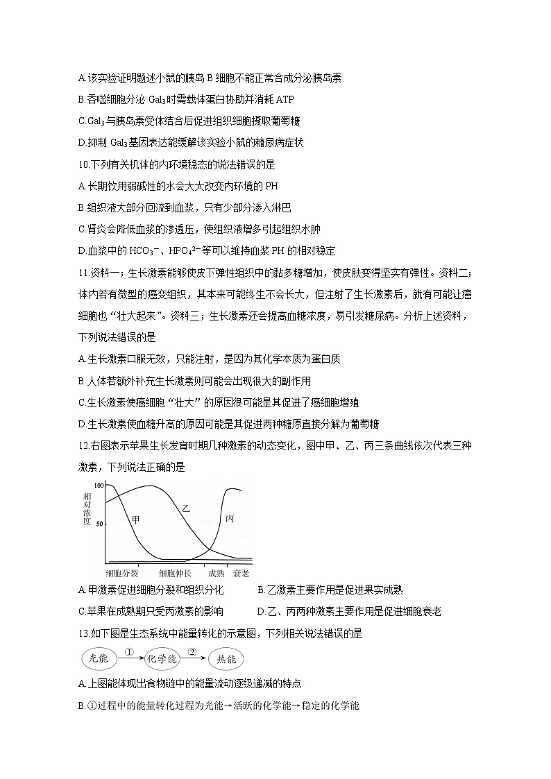 2021邵阳新邵县高三上学期新高考适应性考试生物含答案第3页