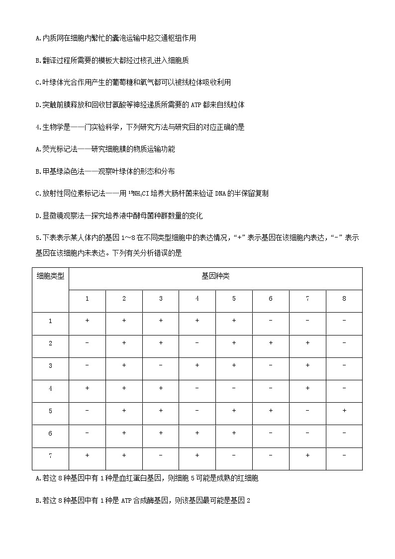 2021朝阳高三下学期5月第三次模拟考试生物试题缺答案第2页