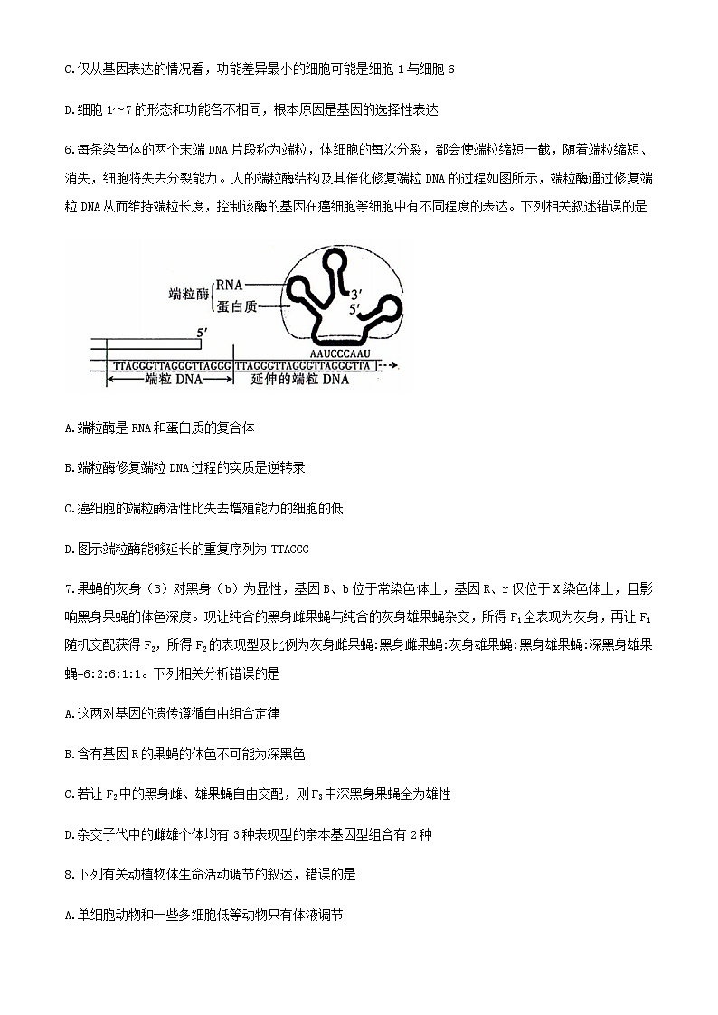 2021朝阳高三下学期5月第三次模拟考试生物试题缺答案第3页