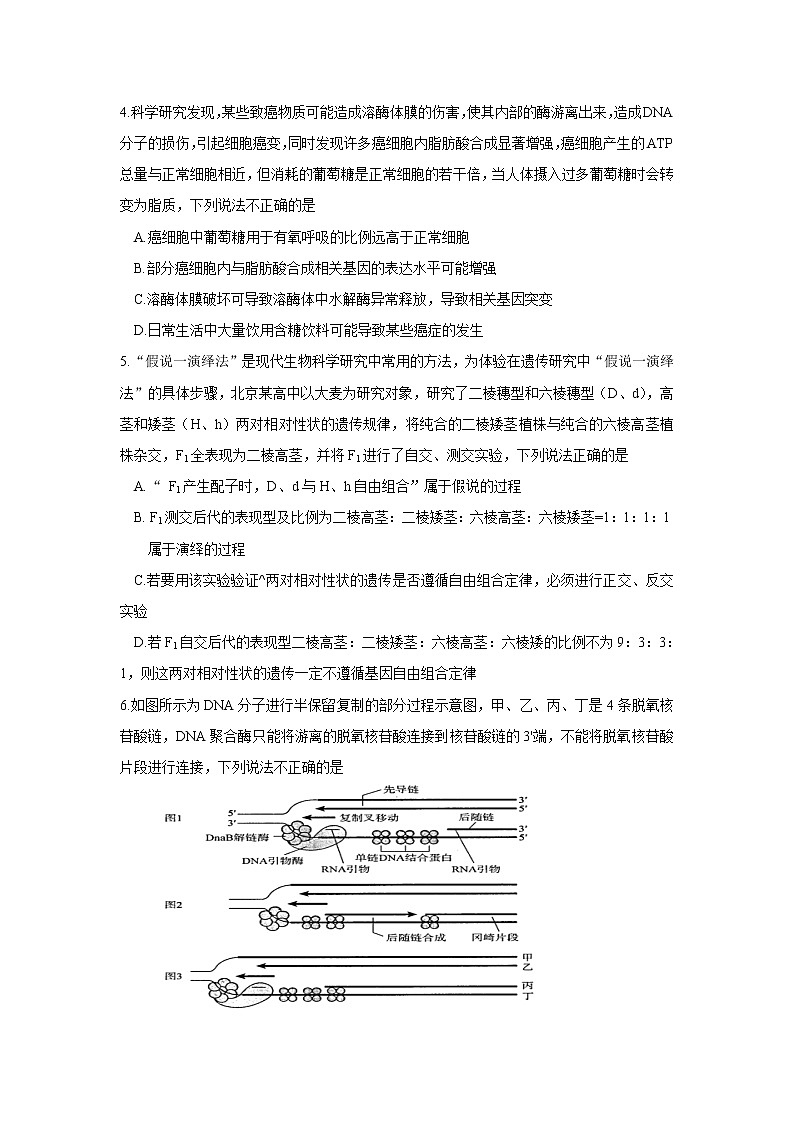2021唐山玉田县一中高三下学期5月三轮强化训练（一）生物试题含答案第2页