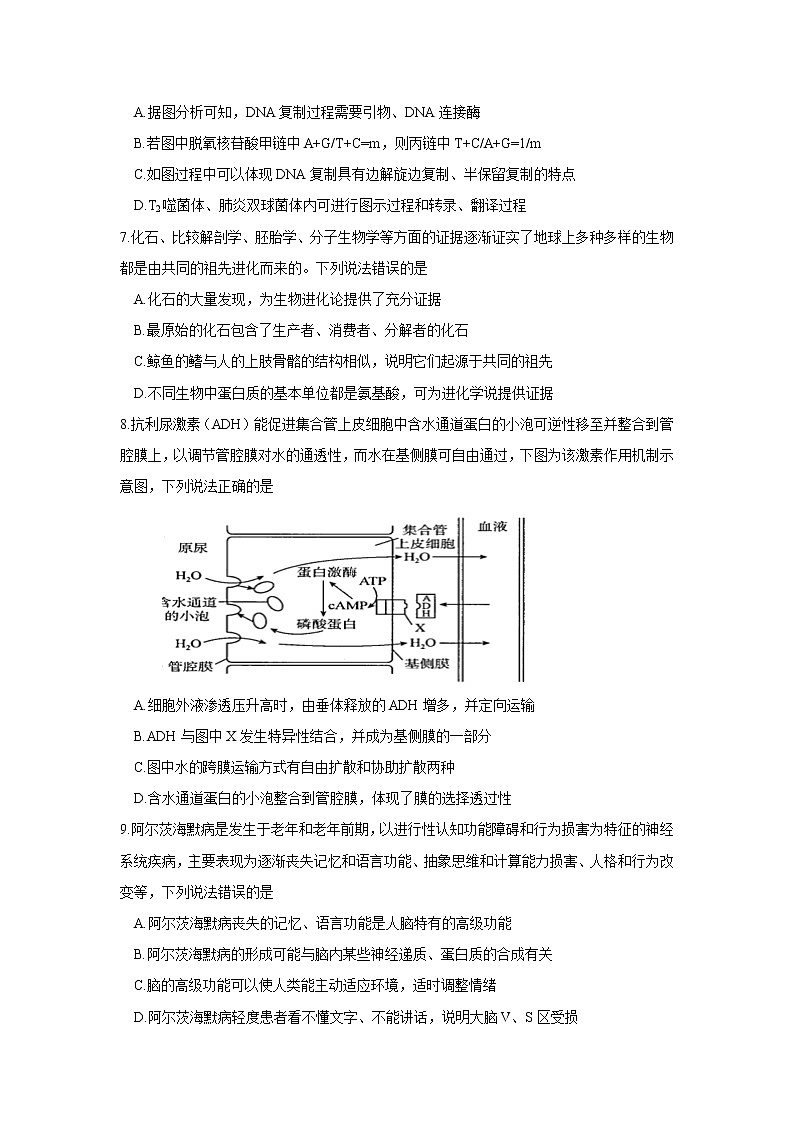 2021唐山玉田县一中高三下学期5月三轮强化训练（一）生物试题含答案第3页