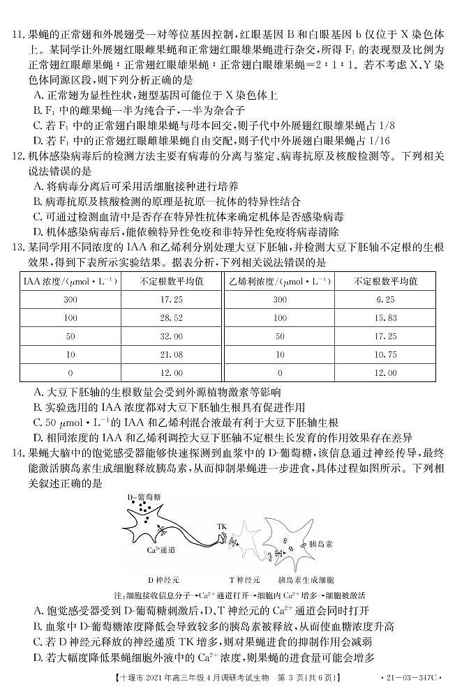 2021十堰高三下学期4月调研考试生物试题PDF版含答案03