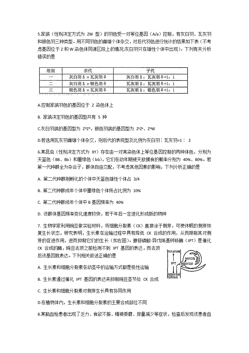 2021济南章丘区高三下学期4月二轮阶段性测试（二模）生物试题含答案03