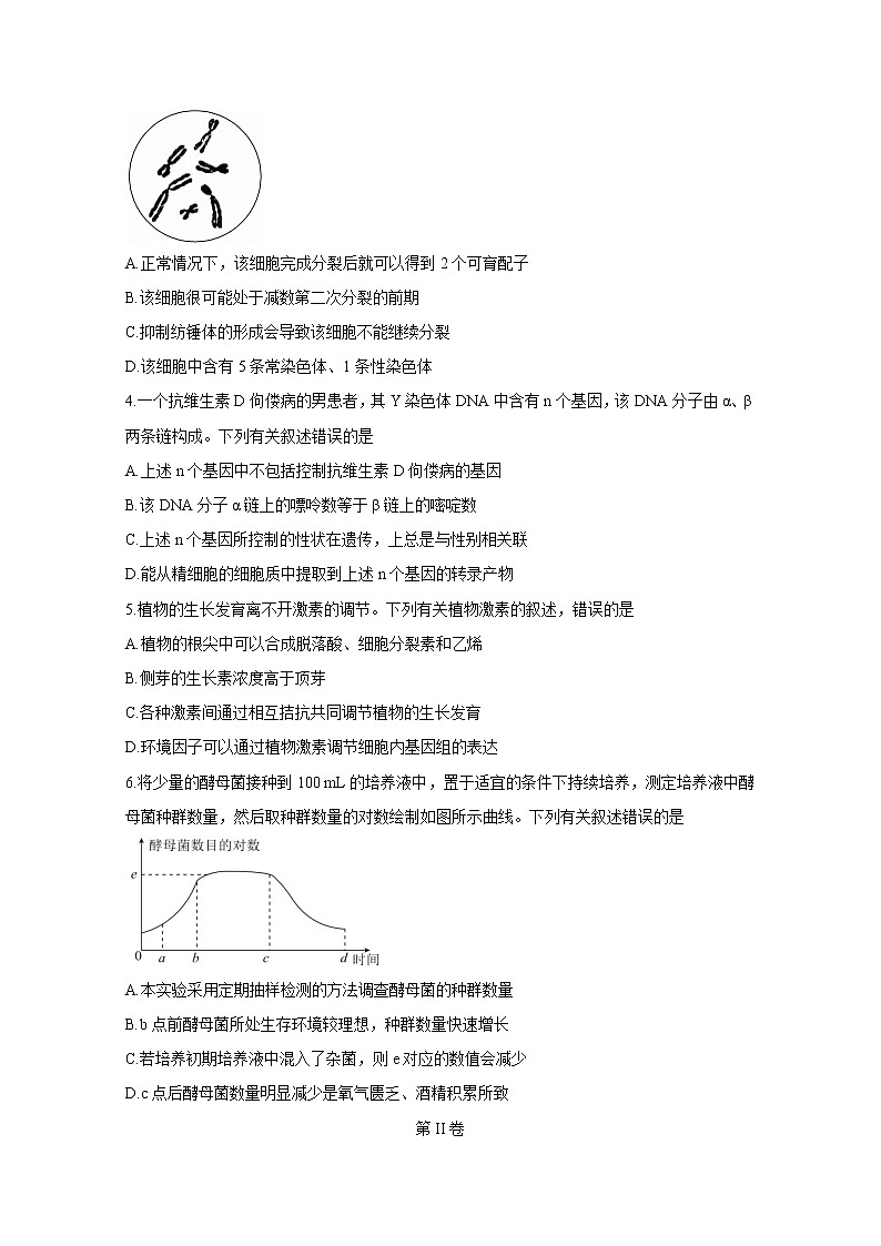 2021四川省天府名校高三下学期4月诊断性考试生物含答案02