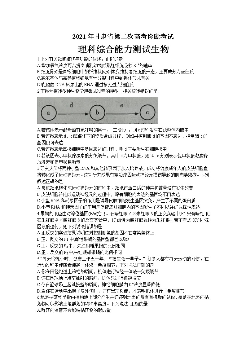 2021甘肃省高三下学期4月第二次诊断考试理科综合生物试题含答案第1页