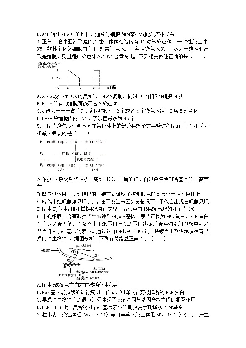 连城一中2021届高三（下）第七次周考--生物第2页