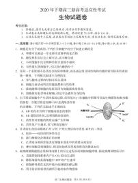 2021邵阳新邵县高三上学期新高考适应性考试生物试题PDF版含答案