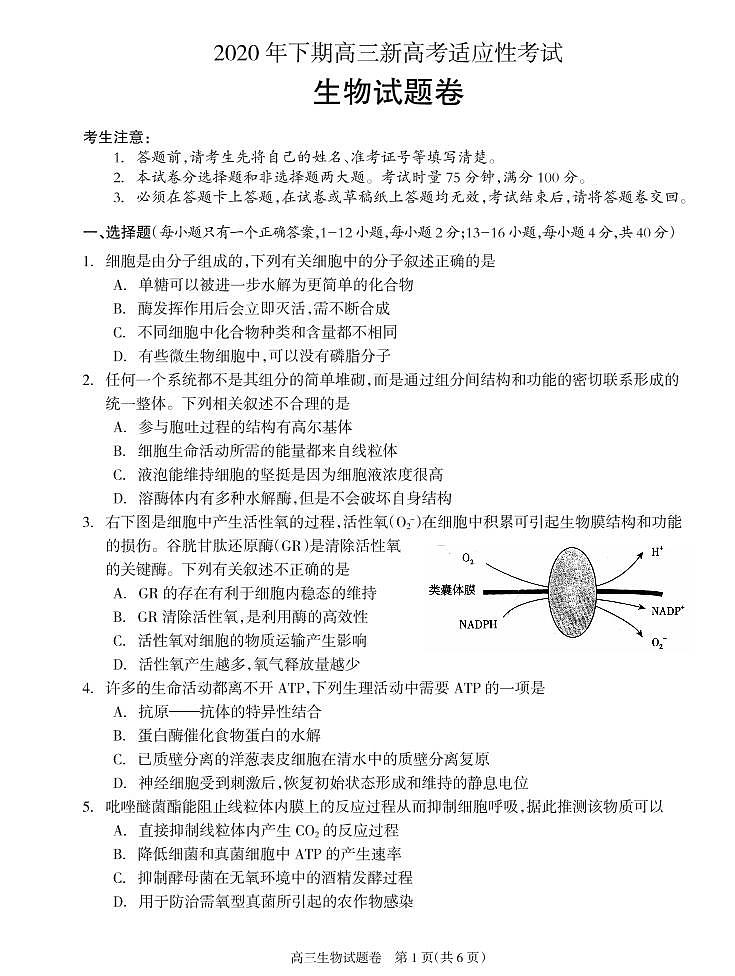 2021邵阳新邵县高三上学期新高考适应性考试生物试题PDF版含答案01
