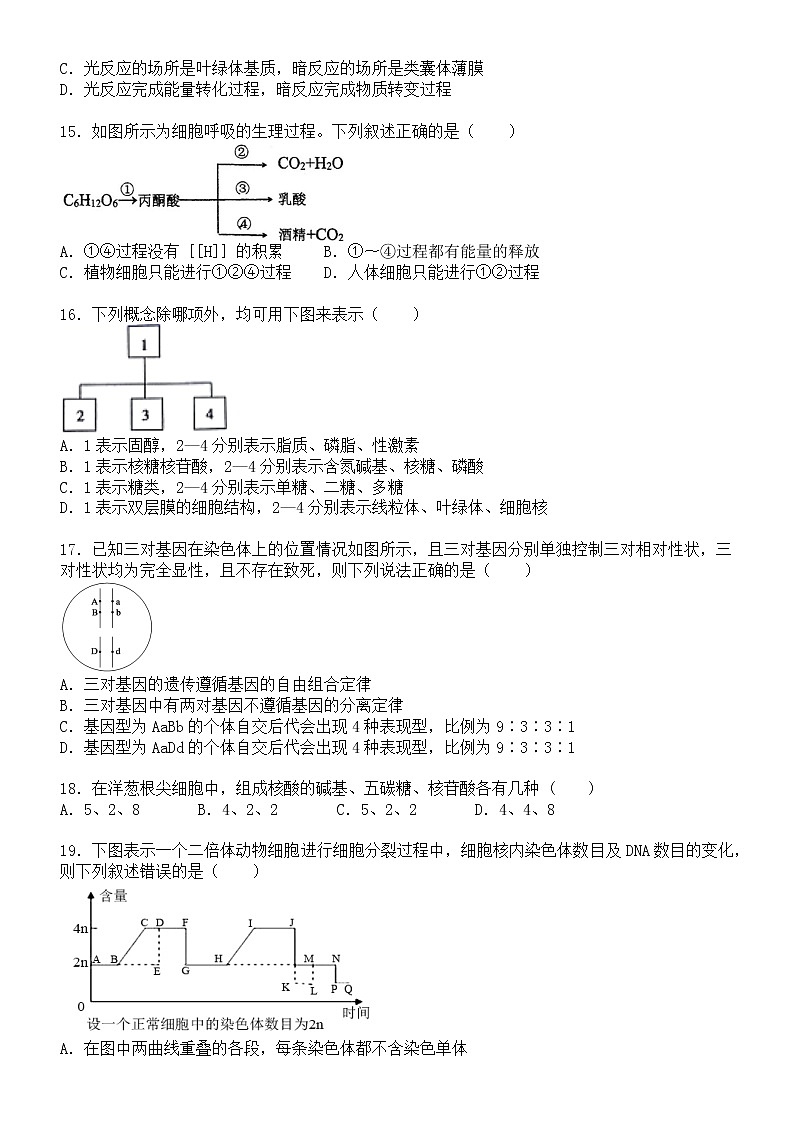 2021池州江南教育集团高三1月月考生物试题含答案第3页