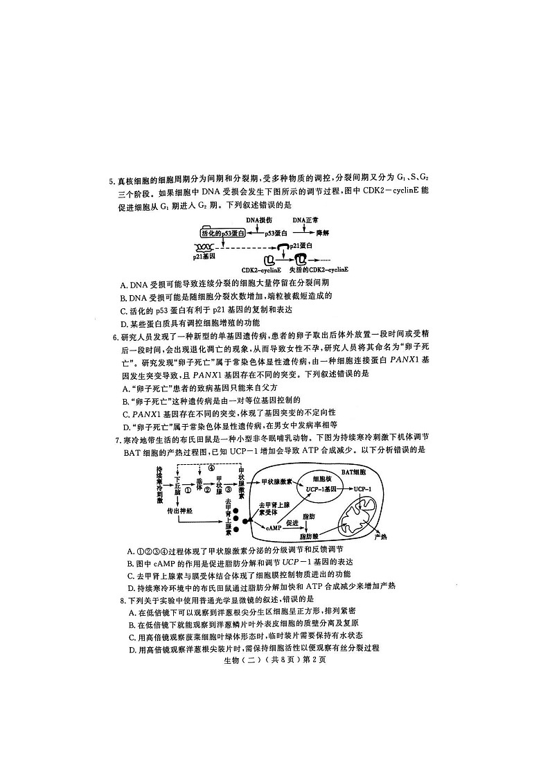 2021聊城高三下学期4月高考模拟（二）（二模）生物试题扫描版含答案02