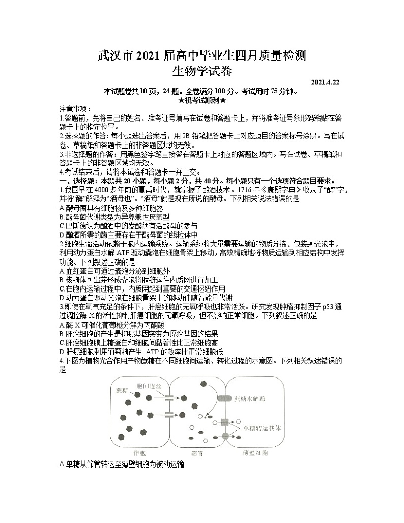 2021武汉高三下学期4月质量检测生物试题含答案第1页