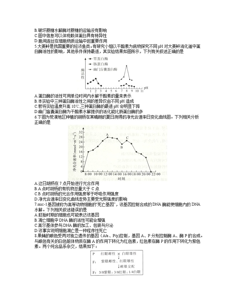 2021武汉高三下学期4月质量检测生物试题含答案第2页