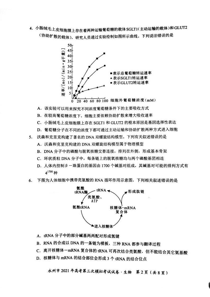 2021永州高三下学期4月第三次模拟考试生物试题扫描版含答案02