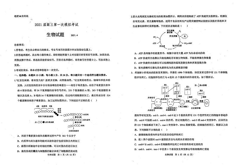 山东省实验中学2021届高三4月第一次模拟考试生物试题第1页