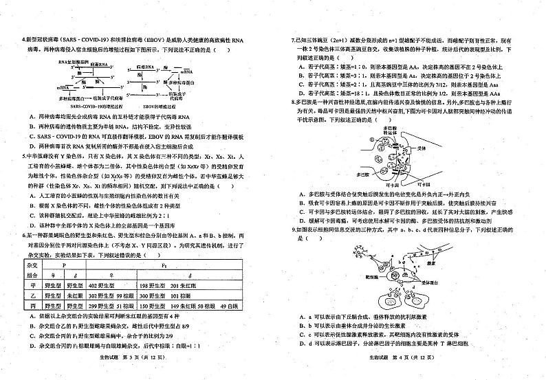 山东省实验中学2021届高三4月第一次模拟考试生物试题第2页