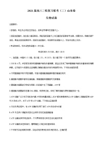 2021山东省百师联盟高三下学期4月二轮复习联考（二）生物试题含答案