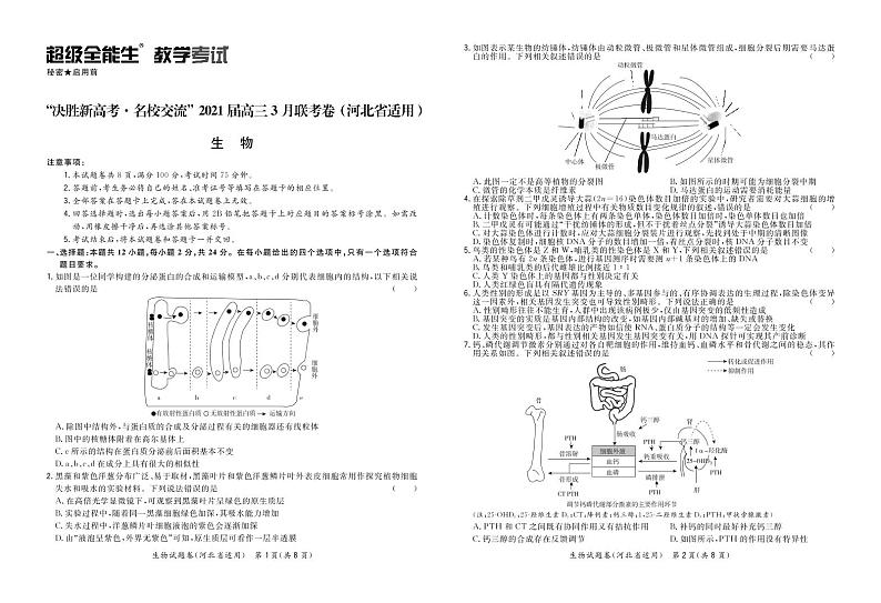 生物正文-河北版-“决胜新高考·名校交流“2021届高三3月联考卷第1页