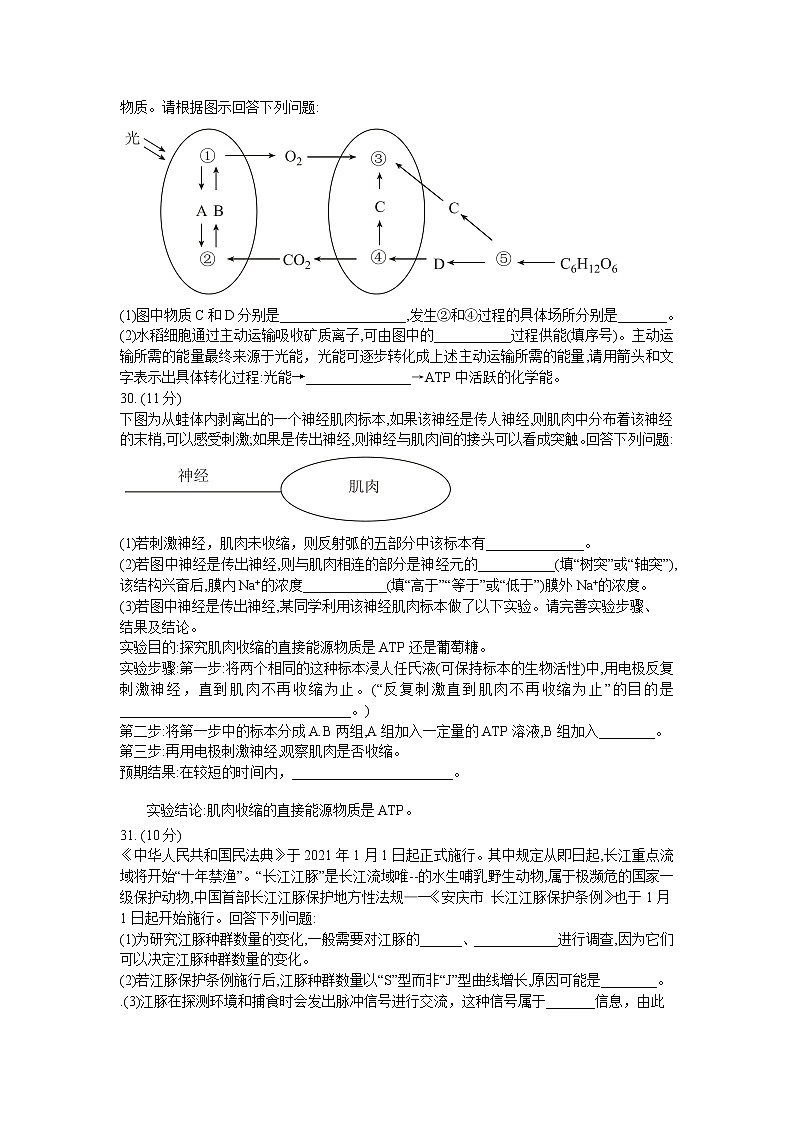 2021四省名校高三下学期第三次大联考理科综合生物试题含答案02