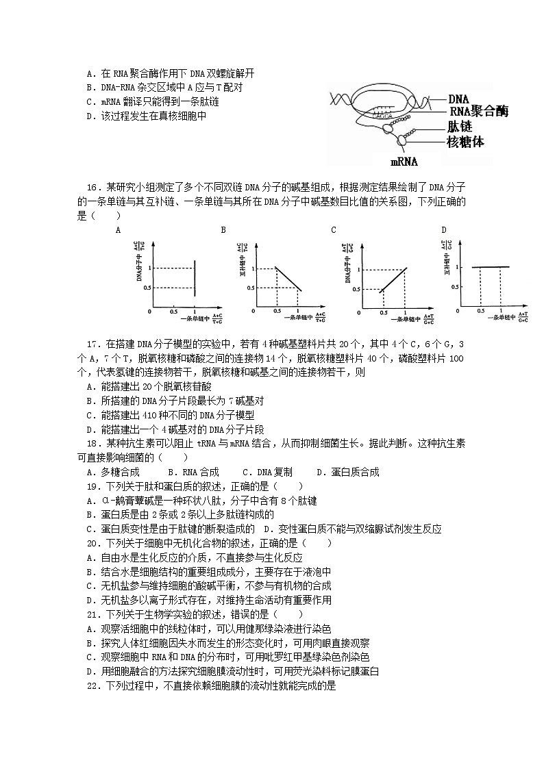 2021巴州二中高三第六次月考生物试卷含答案03