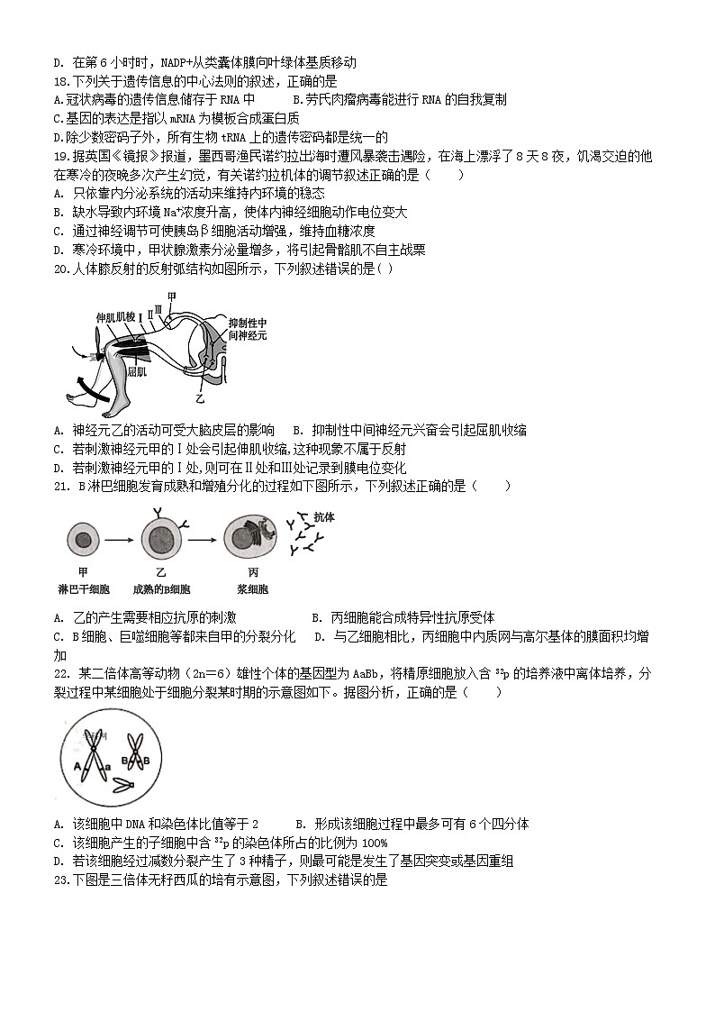 2021舟山中学高三上学期10月考生物试题含答案第3页