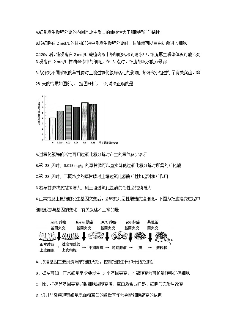 2021郴州高三下学期3月第三次教学质量监测生物试题含答案02