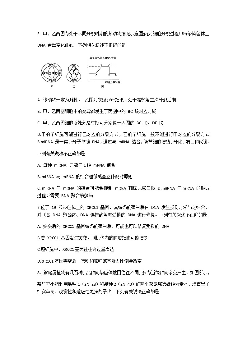 2021郴州高三下学期3月第三次教学质量监测生物试题含答案03