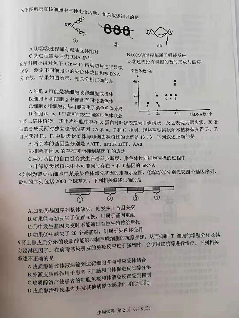 2021锦州高三下学期4月质量检测（一模）生物试题图片版含答案02