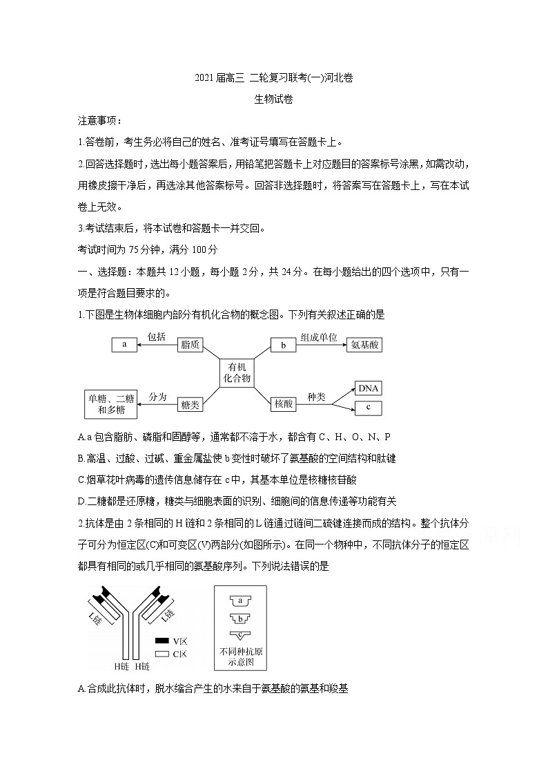 2021河北省高三下学期3月二轮复习联考（一）生物含答案 试卷01