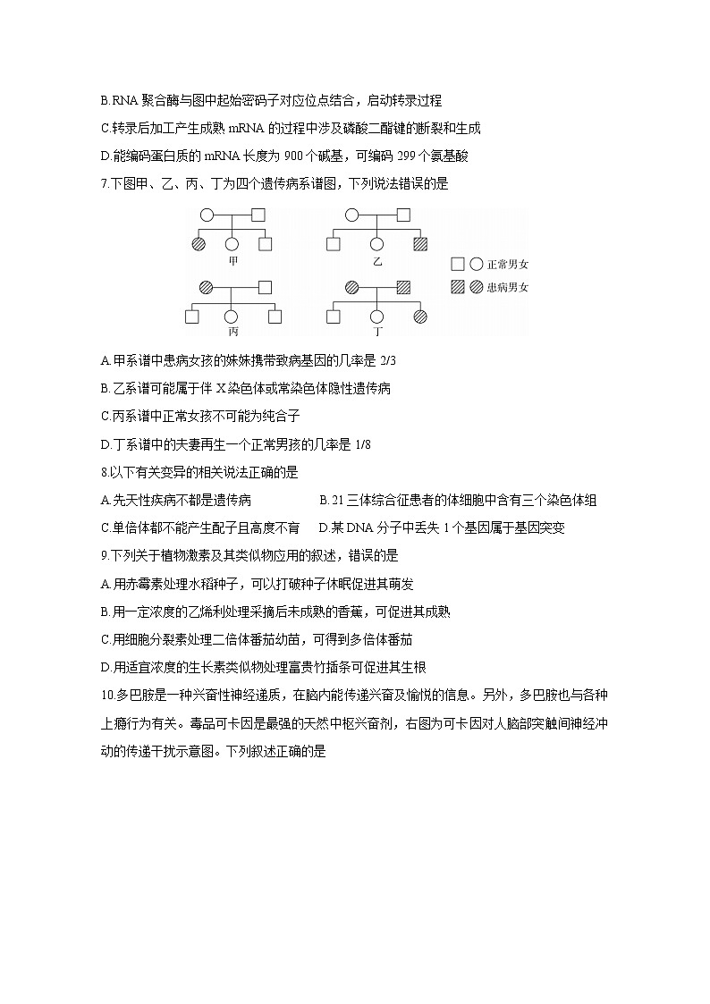 2021河北省高三下学期3月二轮复习联考（一）生物含答案 试卷03