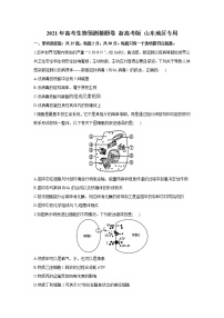 2021山东省高三下学期4月高考预测猜题卷（新高考版）生物试题含答案