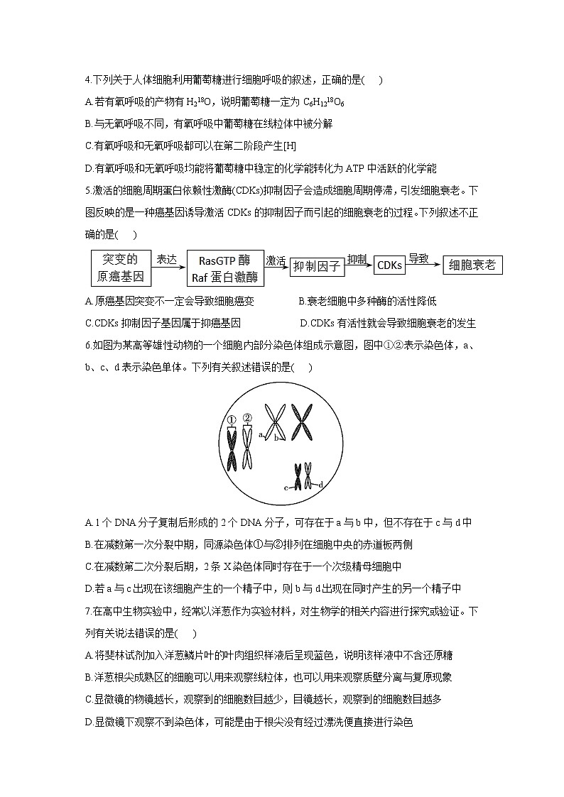 2021山东省高三下学期4月高考预测猜题卷（新高考版）生物试题含答案第2页