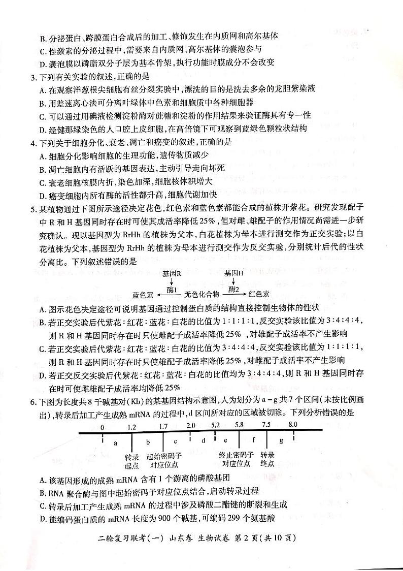 山东省临沂市沂水一中2021届高三 二轮复习联考（一） 新高考山东卷生物试题PDF版有答案第2页