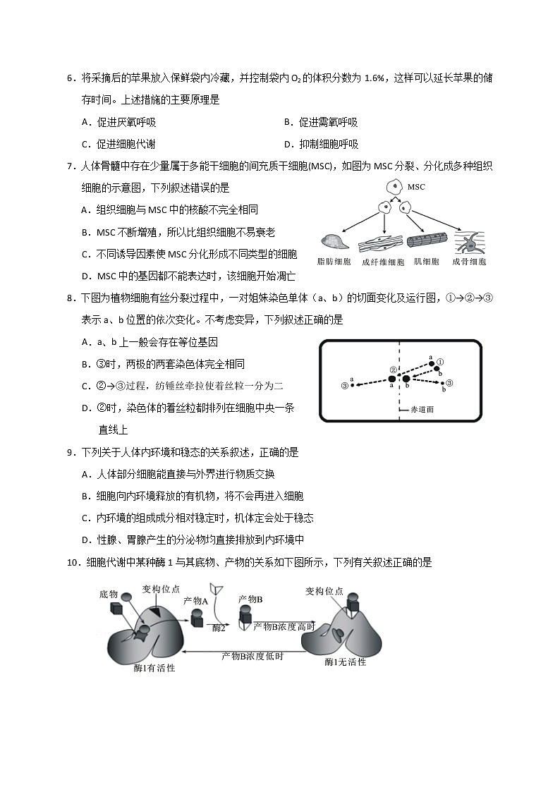 2021诸暨高三12月适应性考试生物试题含答案第2页
