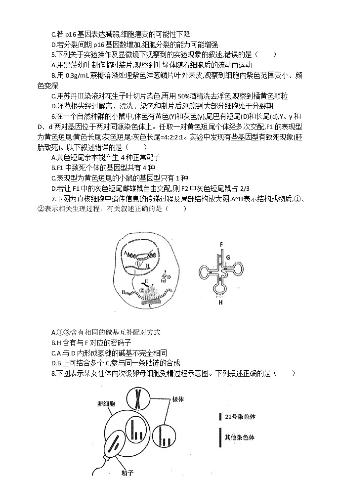 2021徐州高三上学期期中抽测生物试卷含答案02