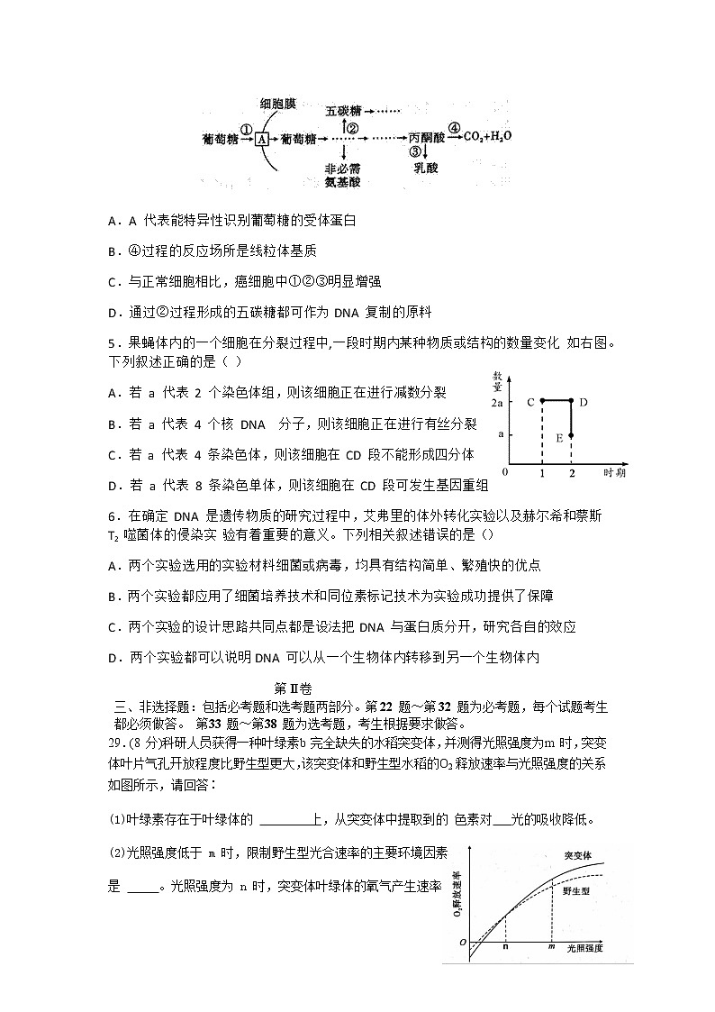 2021四川省树德中学高三上学期10月阶段性测理科综合生物试题含答案02