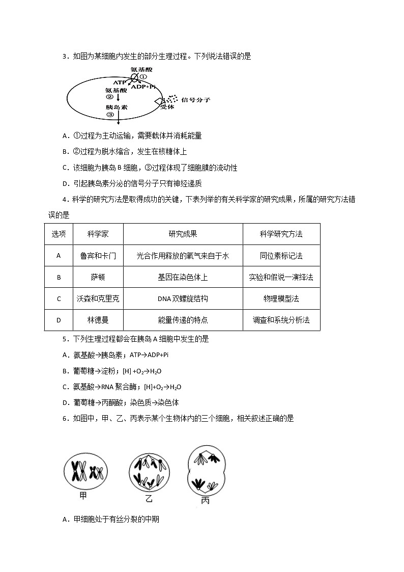 2020湖北名师联盟高三上学期第二次月考精编仿真金卷生物试题含解析02