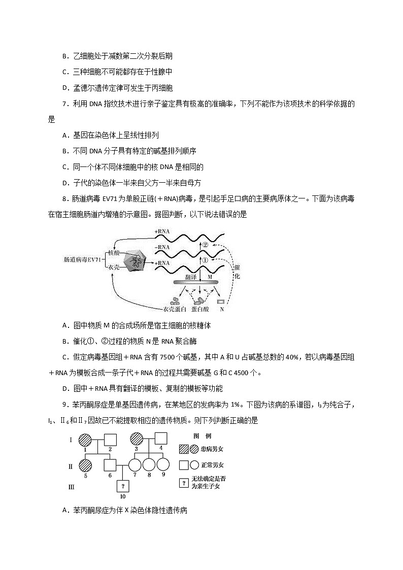 2020湖北名师联盟高三上学期第二次月考精编仿真金卷生物试题含解析03