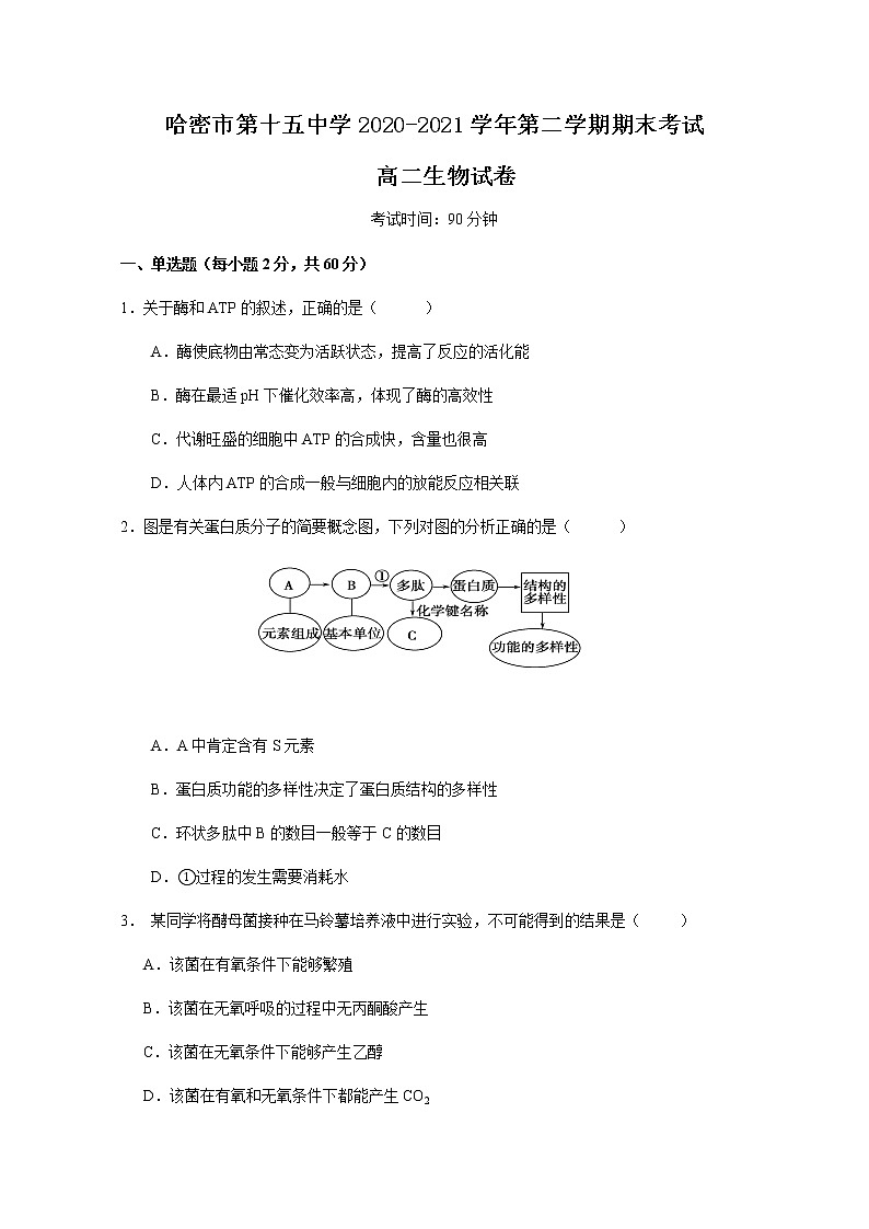 2021哈密十五中高二下学期期末考试生物试卷含答案第1页